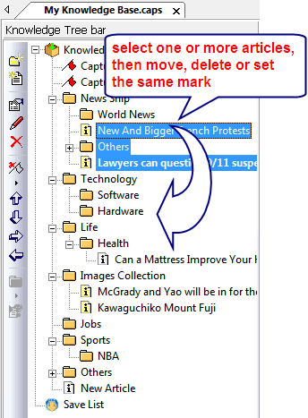 manage information in a free form hierarchical tree